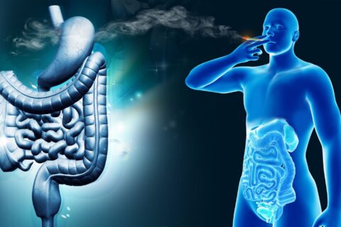 How-cannabis-can-affect-the-digestive-system-in-both-positive-and-negative-ways-Sensi-Seeds-blog