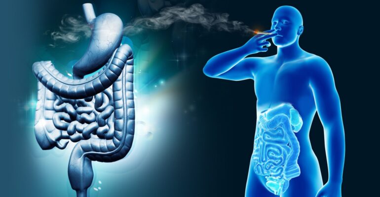 How-cannabis-can-affect-the-digestive-system-in-both-positive-and-negative-ways-Sensi-Seeds-blog